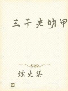 三千光明甲