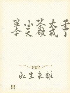 宁小茶太子殿下今天破戒了吗免费阅读