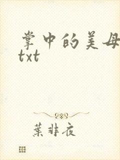 掌中的美母版主txt