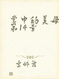 掌中的美母版主第14章