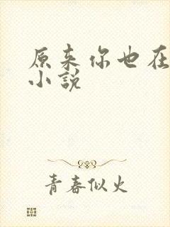 原来你也在这里小说