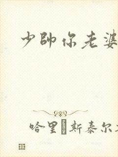 少帅你老婆