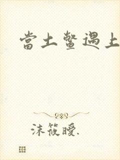 当土鳖遇上海龟