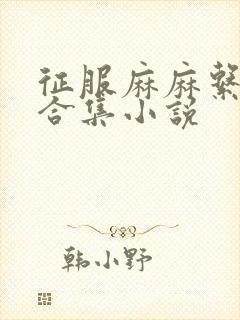 征服麻麻系列大合集小说