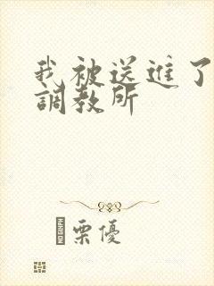 我被送进了私奴调教所