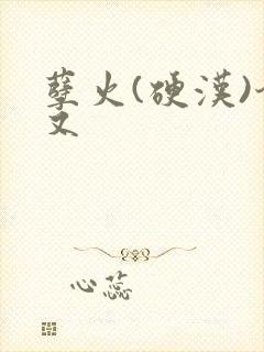 孽火(硬汉)今又