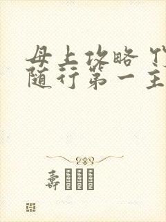 母上攻略 竹影随行第一主板