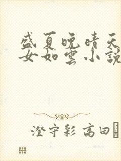 盛夏晚晴天之美女如云小说