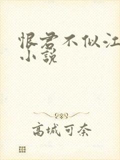 恨君不似江楼月小说