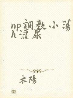 np调教小荡货h灌尿