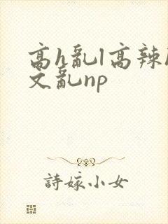 高h乱l高辣h文乱np