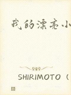 我的漂亮小后妈