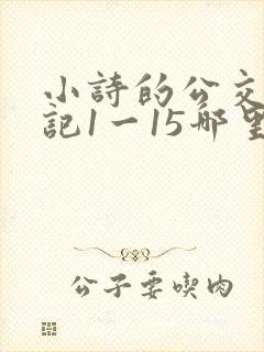 小诗的公交车日记1一15哪里能看