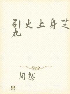 引火上身芝麻糖丸