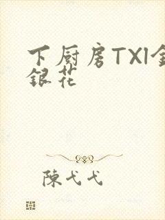 下厨房TXl金银花