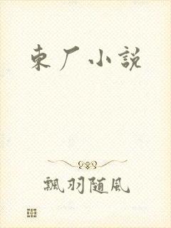 东厂小说