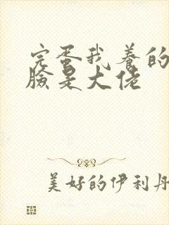 完蛋我养的小白脸是大佬