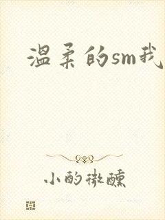 温柔的sm我