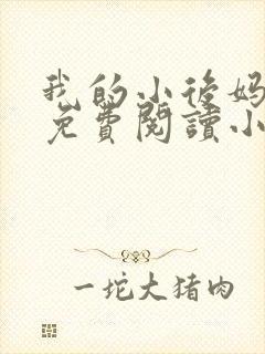 我的小后妈全文免费阅读小说