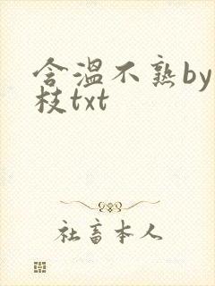含温不熟by词枝txt