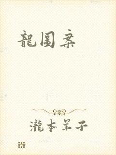 龙图案