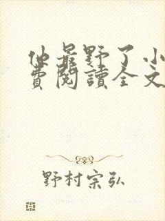 他最野了小说免费阅读全文