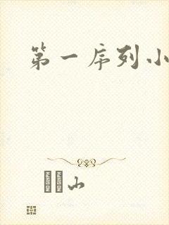 第一序列小说