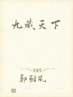 九藏天下