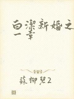 白洁新婚之夜第一章