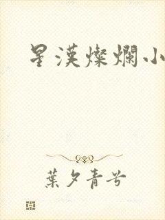 星汉灿烂小说