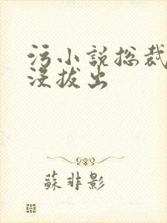 污小说总裁整夜没拔出