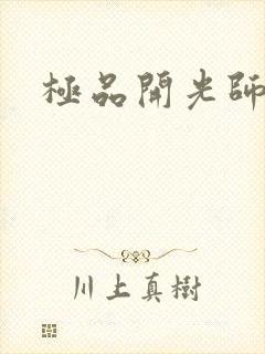 极品开光师