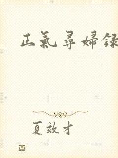 正气寻妇录