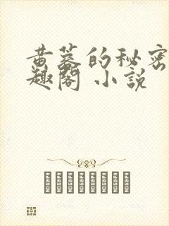 黄蓉的秘密 笔趣阁 小说