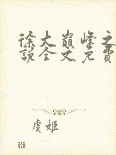 徐大巅峰之路小说全文免费阅读