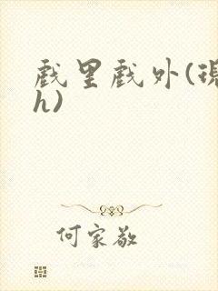 戏里戏外(现场h)