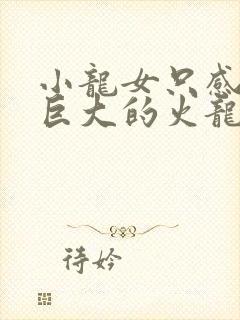 小龙女只感觉那巨大的火龙枪