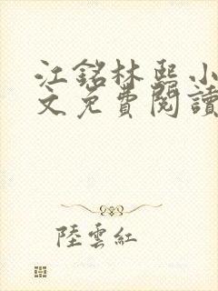 江铭林熙小说全文免费阅读