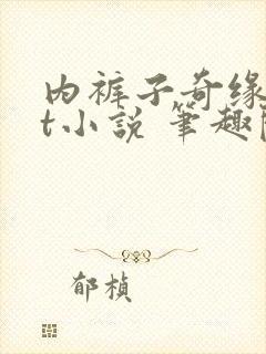 内裤子奇缘txt小说 笔趣阁