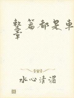 整篇都是车的文章