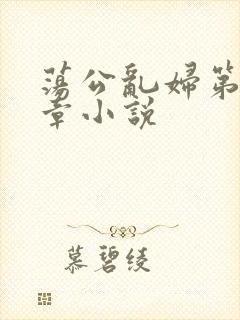 荡公乱妇第51章小说