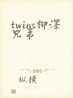 twins柳泽兄弟