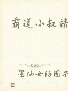 霸道小叔请轻撩