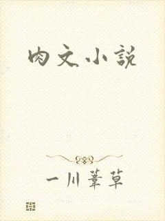 肉文小说