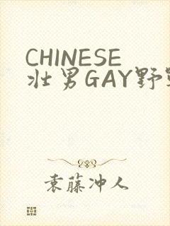 CHINESE壮男GAY野战强迫TUBE