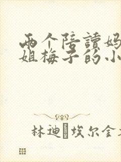 两个陪读妈妈赵姐梅子的小说