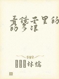 看镜子里的你叫的多浪