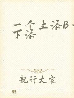 一个上添B一个下添