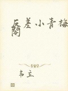 反差小青梅笔趣阁