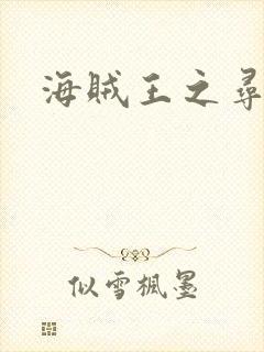 海贼王之寻亲记